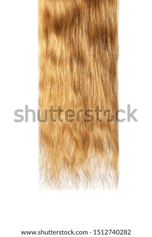 Long damaged straight brown hair isolated on white background