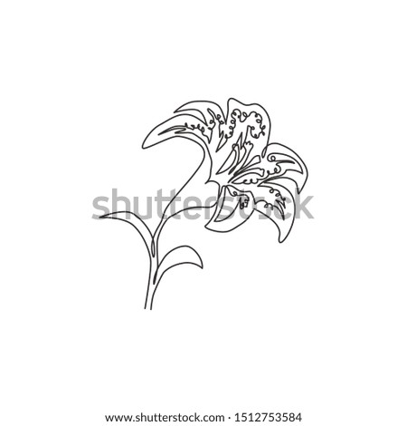 Single continuous line drawing of beauty fresh tiger lily for home decor wall art poster print. Printable decorative lilium flower for wedding invitation card. One line draw design vector illustration