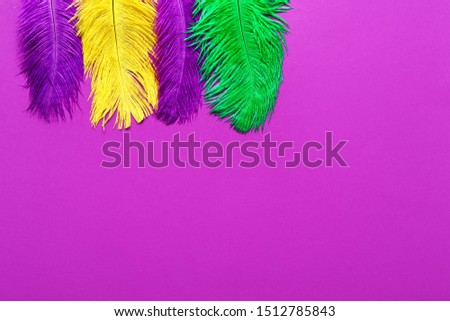 Colorful feathers on color background
