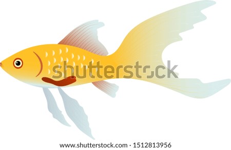 vector illustration of a goldfish