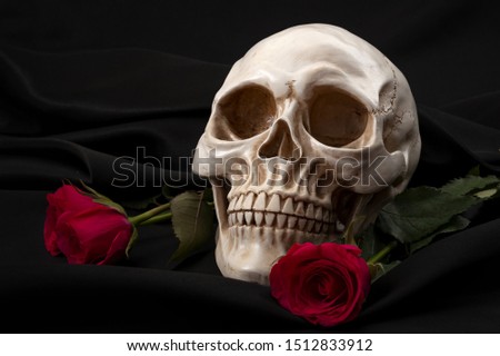 Life and death, darkness and enlightenment and the duality of good and evil conceptual idea with red rose and white skull isolated on black silk background