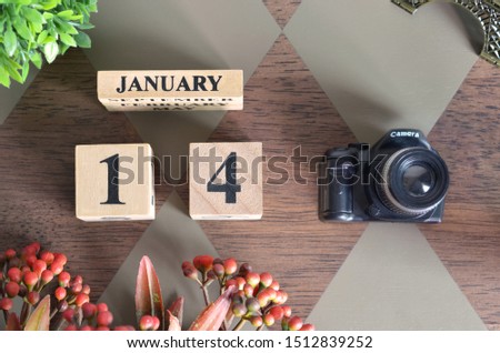 January 14, Date design with Number cube, a flower and camera on Diamond wood background.
