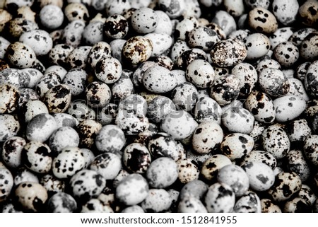 There are hundred of little eggs which are Black, Brown and White as background.