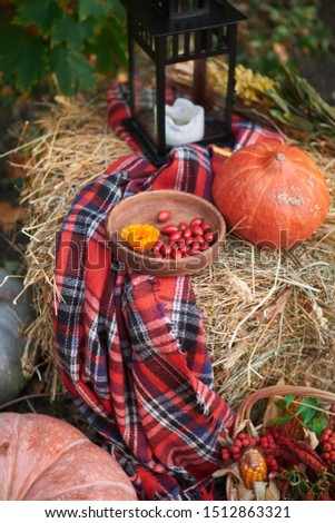 Autumn background with raw vegetables on rustic background. Concept autumn