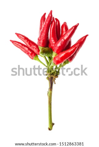 cluster of fresh ripe red chili peppers (peperoncini) isolated on white cackground Royalty-Free Stock Photo #1512863381