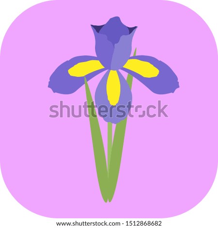 Minimalist colorful irises on a colored background.
Ideal for icons, medals or badges.