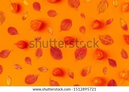 Autumn leaves on an orange background.