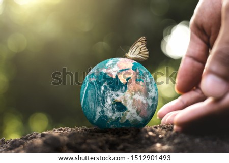The globe is placed on the ground and there are white butterflies on it, Elements of this image furnished by NASA.