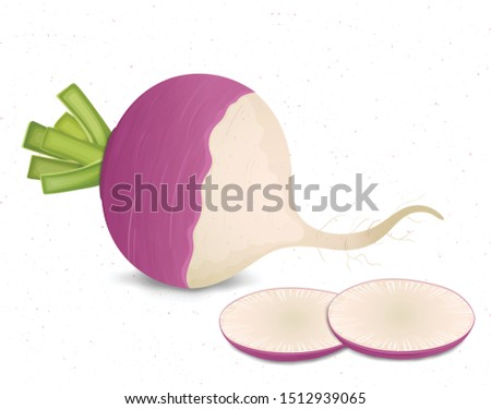 turnip vector illustration with turnip pieces on white background Royalty-Free Stock Photo #1512939065
