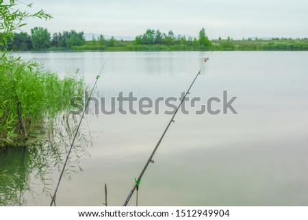 fishing rods on the lake