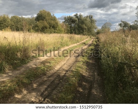 A country dirt road passes through a field and enters the autumn forest.