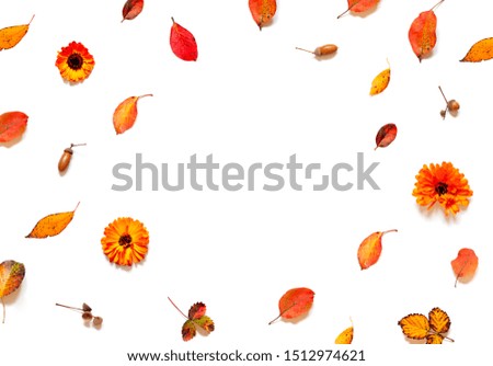 Colorful Autumn leaves and calendula flowers frame on the white background.  Copy space