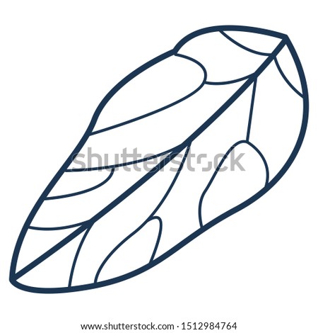Leaf of tree or flower illustration in simple minimalist style. Vector outline icon or clip art. Ecological and environmental symbol. Elegant feminine element. Isolated monochromatic botanical object.
