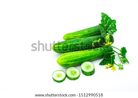 cucumber and leaves isolated on white background