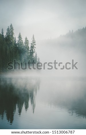 Dramatic view during a beautiful foggy morning with spruce fir forest reflected in the water of a lake in Smida, Romania. Coniferous forest trees reflected in a mountaineous calm lake. Royalty-Free Stock Photo #1513006787