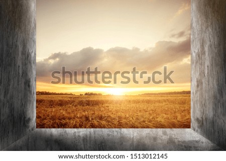 frame of cement wall over rice farm landscape on morning sunrise background.