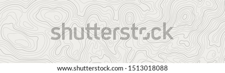 topographic line contour map background, geographic grid map, stock vector illustration Royalty-Free Stock Photo #1513018088