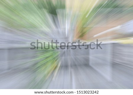intentional camera zooming green foliage and back garden fences 