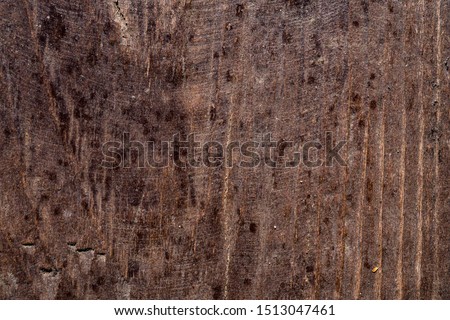 Texture of old wood. Background image. Macro photo