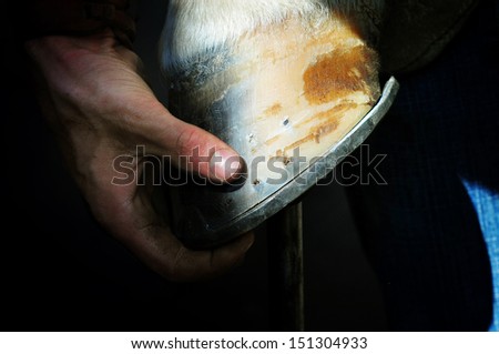 farrier holds a hoof of horse leg Royalty-Free Stock Photo #151304933