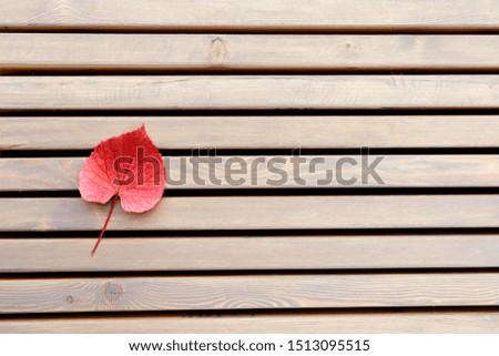 Autumn background. Fall leaf on wooden bench. Copy space. Horizontal shot. 