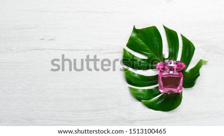 Women's perfume and tropical leaf. Makeup. Top view. Free copy space.