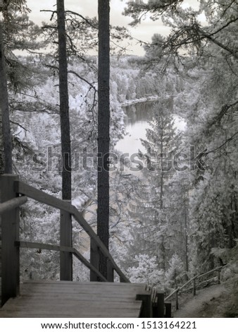 infrared photo of river view and Sietiniezis sandstone cliff, beautiful white trees and wooden footpaths, picture taken with specially adapted infrared camera, Latvia