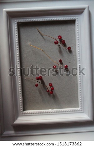 bright red autumn berry in white frame for decoration and present 