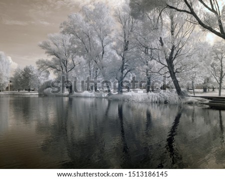 infrared photography overlooking the pond and white trees, beautiful clouds, beautiful reflections in the water, picture taken with a specially designed infrared camera
