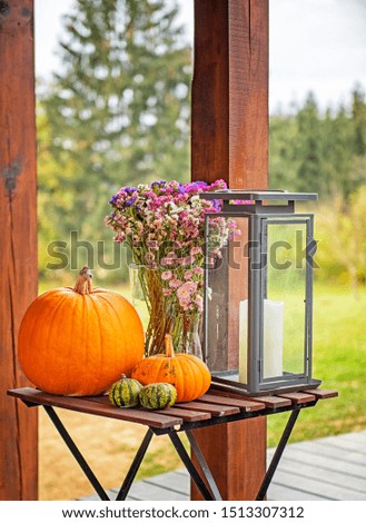 Restaurant with pumpkins in the garden