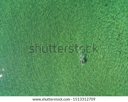 Surfing sport. Man on a white board in the ocean, Sunny day, Aerial top view. Water texture. Outdoor activity concept. Copy space.
