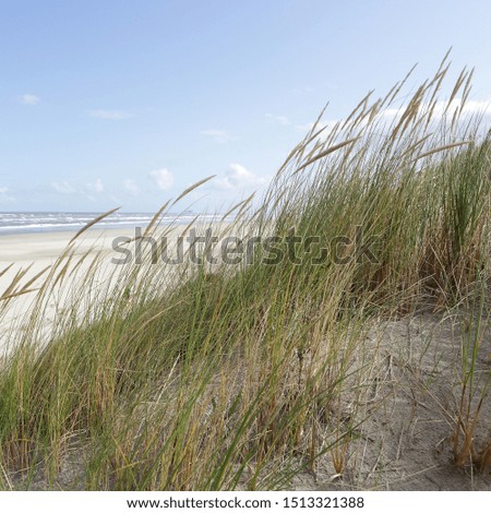 sand beach, long beach, north sea
