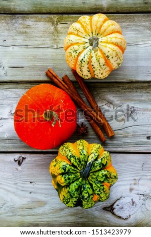 Flat-lay of pumpkins and autumn background on wooden table