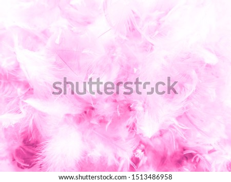 pink feathers and darkness white pattern feather background and wallpaper
