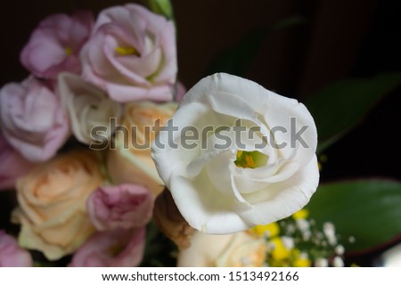 White Lisianthus flower and pink roses,