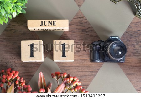 June 11, Date design with Number cube, a flower and camera on Diamond wood background.