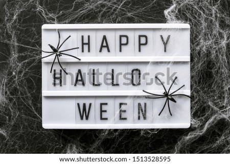 Lightbox with text Happy halloween decorated cobwebs and spiders, closeup. Halloween concept, Top view, Flat lay, Template for greeting card.