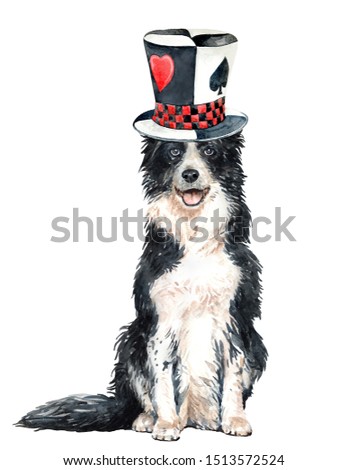 Border collie of a dog. Watercolor hand drawn illustration. Watercolor Collie with magic top hat layer path, clipping path isolated on white background.
