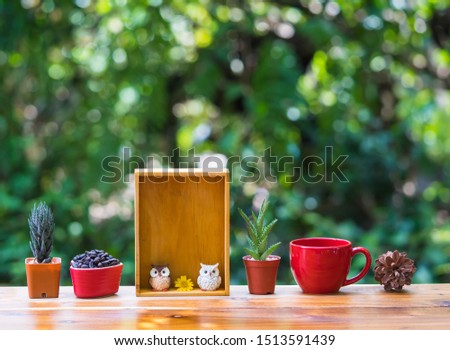 Beautiful  cactus,wooden  shelf,simulated  owl,coffee  cup  and  pine  cone  on  wood  table  with  nature   blurry  background
