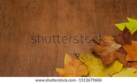 Panorama of many colorful autumnal leaves - background brown old wood