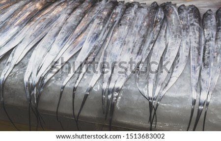 lolcal delicacy - hairtail fish on display for sale at Jeju Dongmun market Royalty-Free Stock Photo #1513683002