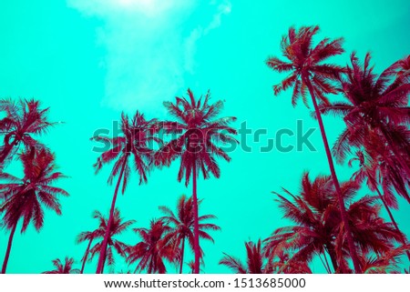 Beautiful seaside coconut palm tree in sunshine day clear sky background color fun tone. Travel tropical summer beach holiday vacation or save the earth, nature environmental concept.
