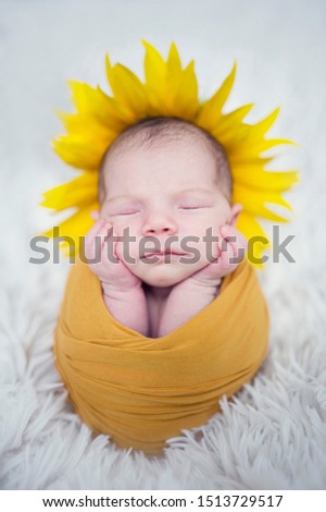 newborn sleeping baby picture like newborn potato in yellow wrap with yellow sunflower