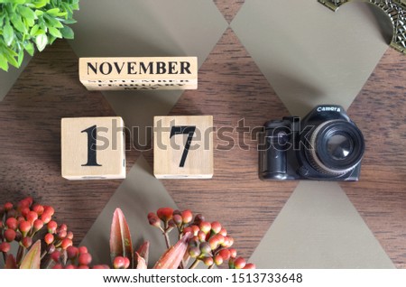 November 17, Date design with Number cube, a flower and camera on Diamond wood background.