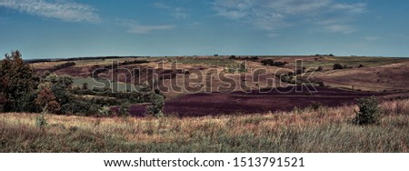 Panoramic landscape of central Russia agricultural countryside with hills. Summer landscape of the Samara valleys. Russian countryside. Moody colors. High resolution file for large format printing.