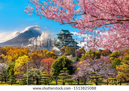  Osaka Castle and full cherry blossom, with Fuji mountain background, Japan Royalty-Free Stock Photo #1513825088