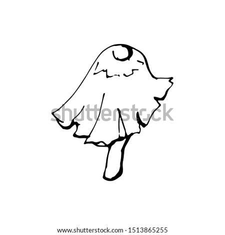 Vector illustration of a mushroom. Isolated on a white background. For design, botanical books, children's books, sticker, coloring book 