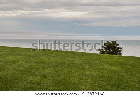 A beautiful scene of Lake Michigan in Wisconsin with a single tree