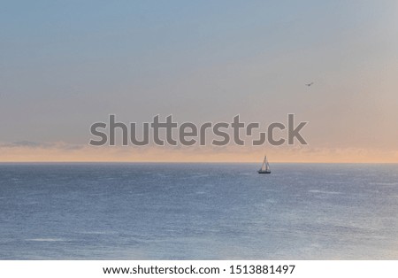 A single sailboat on Lake Michigan in Wisconsin with a seagull flying overhead
