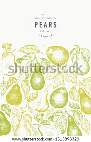 Pear design template. Hand drawn vector garden fruit illustration. Engraved style garden fruit frame. Retro botanical banner.